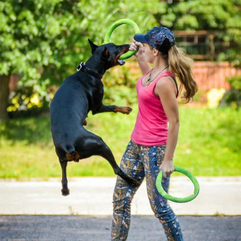 犬のおもちゃペットフライングディスクEVA犬用トレーニングリ - Flying Disc Dog Training Toy のレビューと価格
