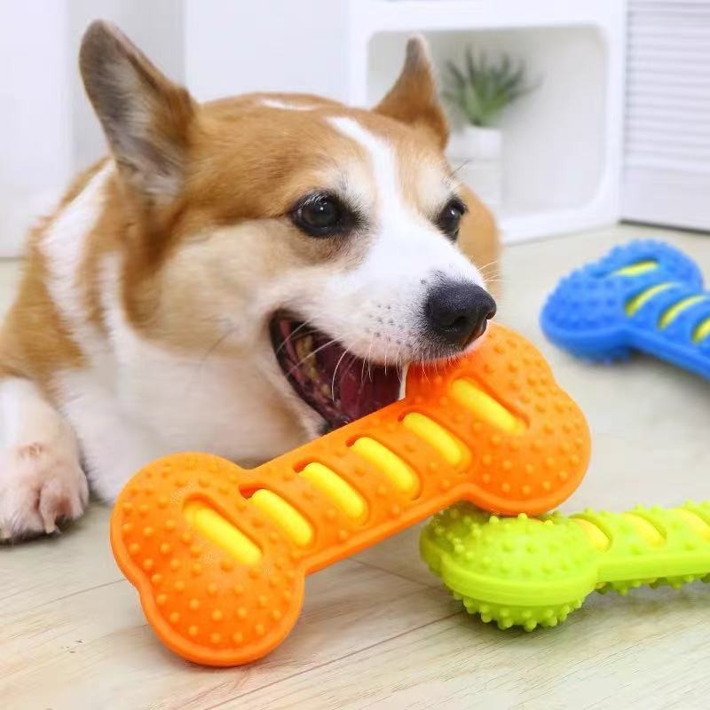 耐久性のあるゴム製犬用噛むおもちゃ、鳴き笛入り骨型、噛みつき - Teeth Cleaning Dog Chew Bone のレビューと価格