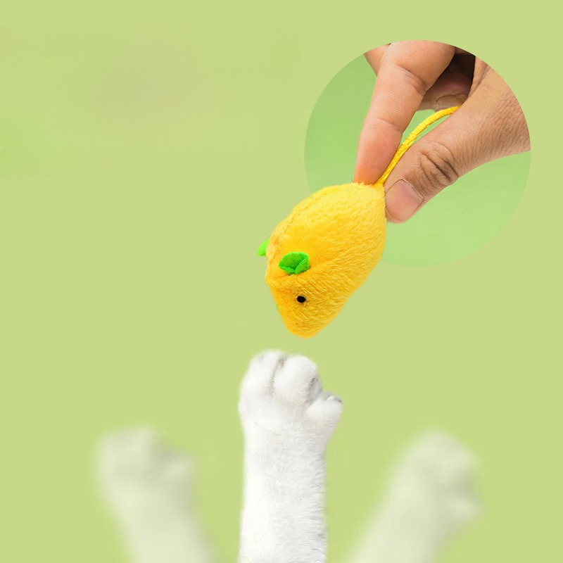猫用おもちゃ　猫ニップ入りインタラクティブマウス　子猫用室内 - Catnip Interactive Plush Mouse のレビューと価格