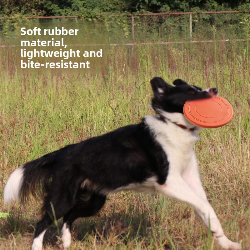 耐噛み性フローティングソフトペットフライングディスクインタラ - Flying Disc Dog Training Toy のレビューと価格
