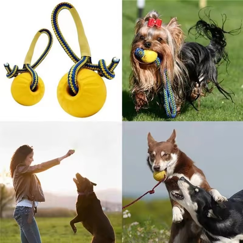 1個入り 噛みつきに強いゴム製子犬用おもしろトレーニングボー - Indestructible Dog Chew Toy のレビューと価格