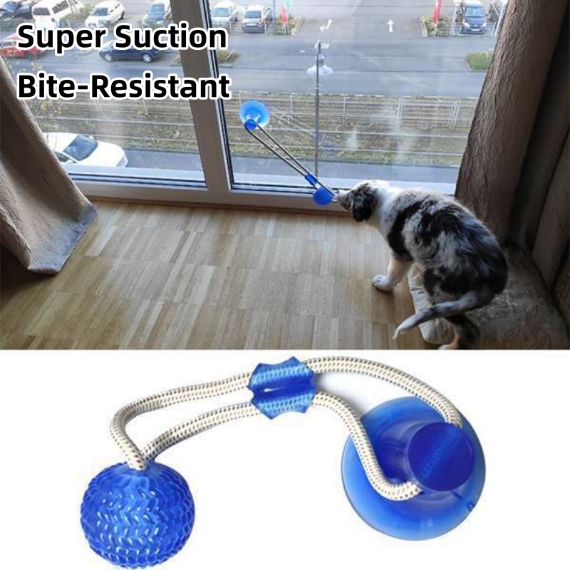 耐久性のある吸盤付き犬用おもちゃ、インタラクティブTPR噛む - Suction Cup Dog Tug Toy のレビューと価格