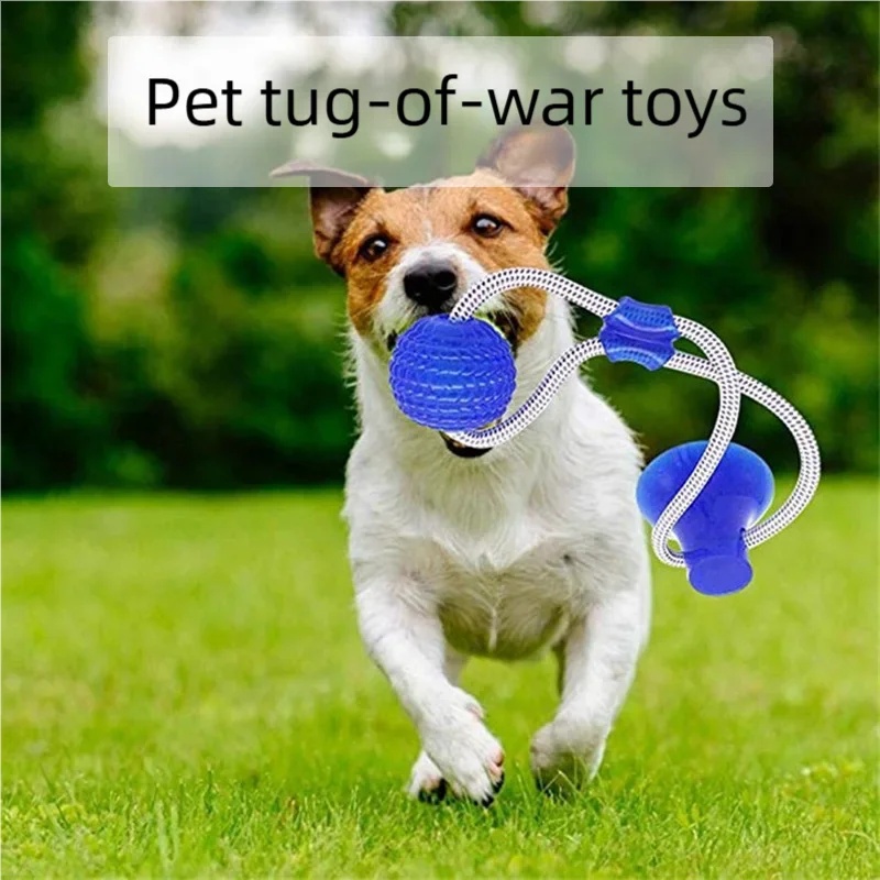 耐久性のある吸盤付き犬用おもちゃ、インタラクティブTPR噛む - Suction Cup Dog Tug Toy のレビューと価格