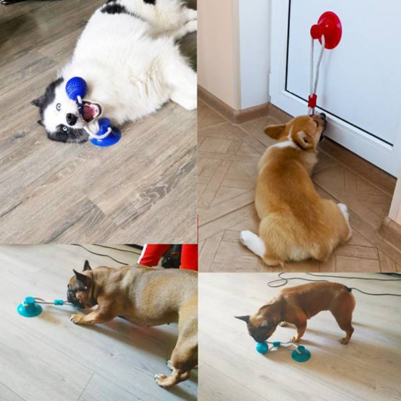 耐久性のある吸盤付き犬用おもちゃ、インタラクティブTPR噛む - Suction Cup Dog Tug Toy のレビューと価格