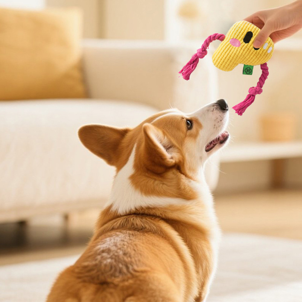 犬用噛むおもちゃ - 耐久性のあるロープノットとアルファベッ - Dog Rope Toy Aggressive Chewers のレビューと価格