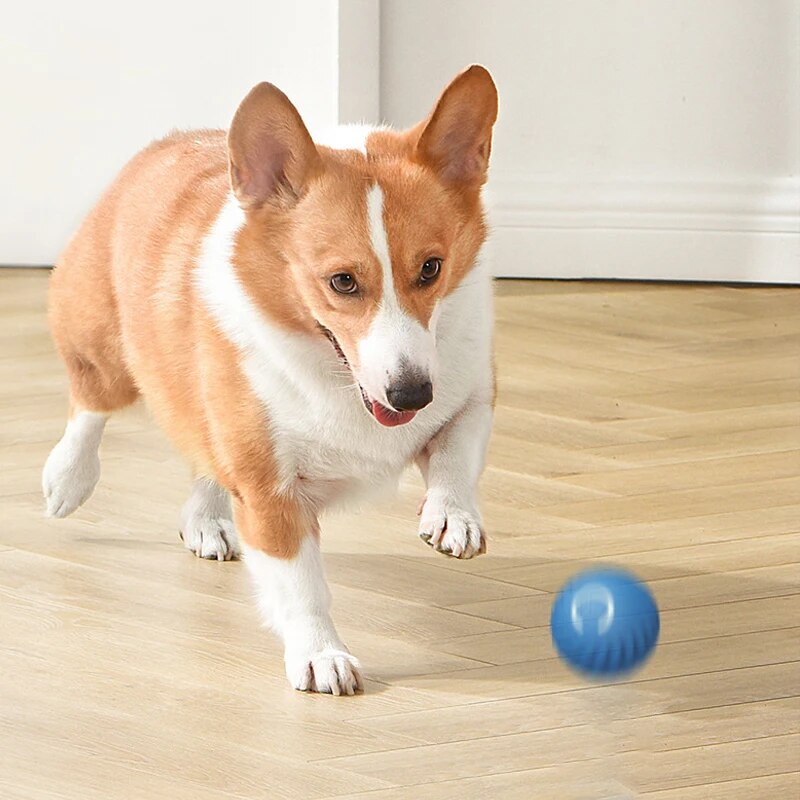 犬と猫のためのインテリジェントな重力ジャンプボール,充電式, - Suction Cup Dog Tug Toy のレビューと価格