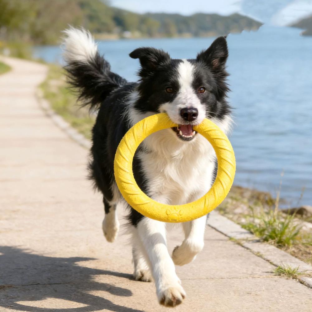 犬用リングおもちゃ、壊れにくい噛むおもちゃ、飛んで浮くトレー - Suction Cup Dog Tug Toy のレビューと価格