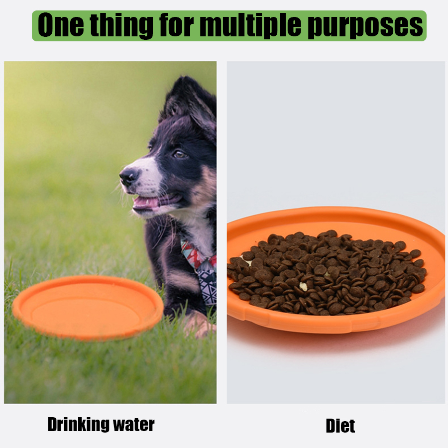 大型犬用ゴールデンファー ペットフライングディスクおもちゃ  - Flying Disc Dog Training Toy のレビューと価格