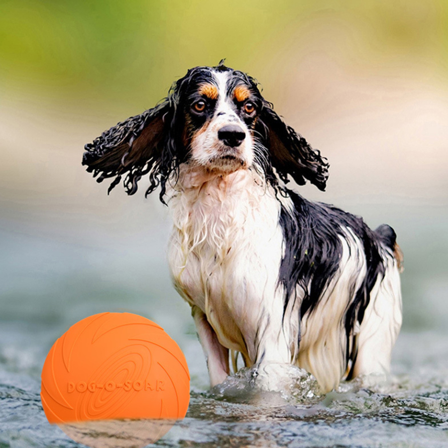 大型犬用ゴールデンファー ペットフライングディスクおもちゃ  - Flying Disc Dog Training Toy のレビューと価格