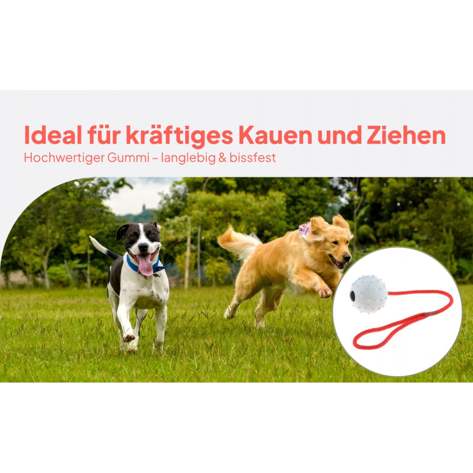 ペットトレーニングおもちゃ ソフトラバーチューボール 知育玩 - Rubber Treat Dispensing Dog Toy のレビューと価格
