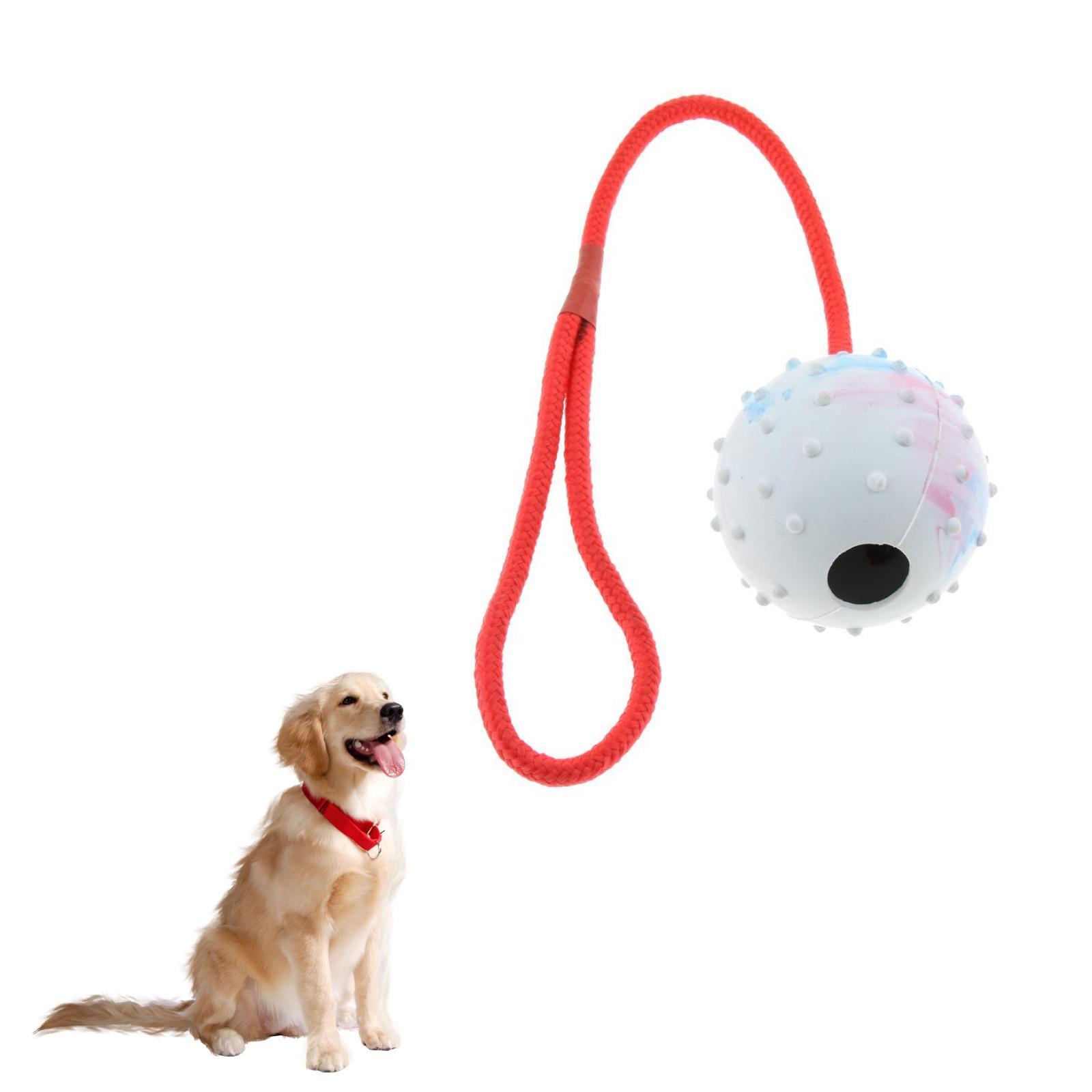 ペットトレーニングおもちゃ ソフトラバーチューボール 知育玩 - Rubber Treat Dispensing Dog Toy のレビューと価格