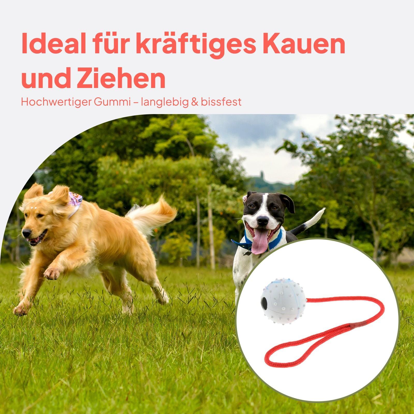 ペットトレーニングおもちゃ ソフトラバーチューボール 知育玩 - Rubber Treat Dispensing Dog Toy のレビューと価格